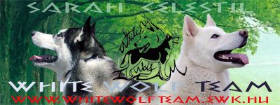 White Wolf Team banner